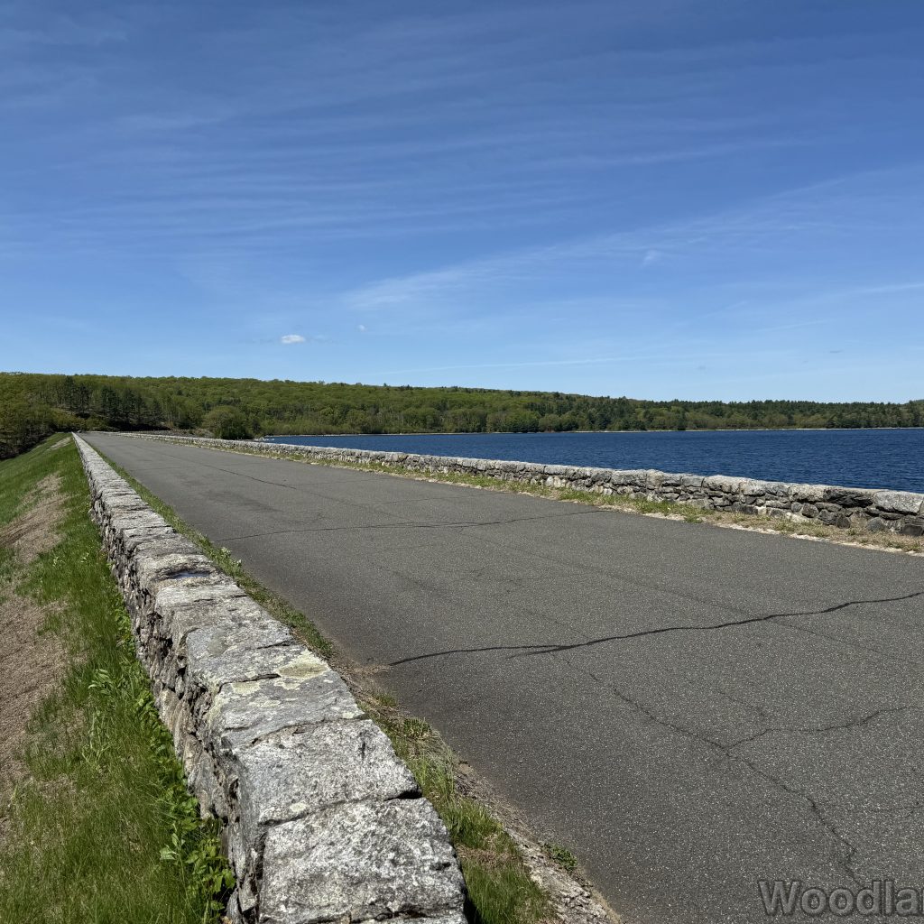 Looking down the access road atop the Goodnough Dike, showing contrast between the water and the dike’s face