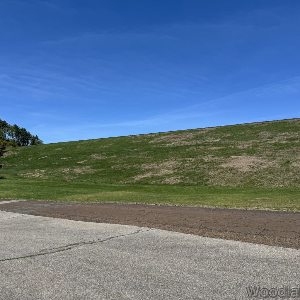 Looking up at the Goodnough Dike from the access road below, blue sky above