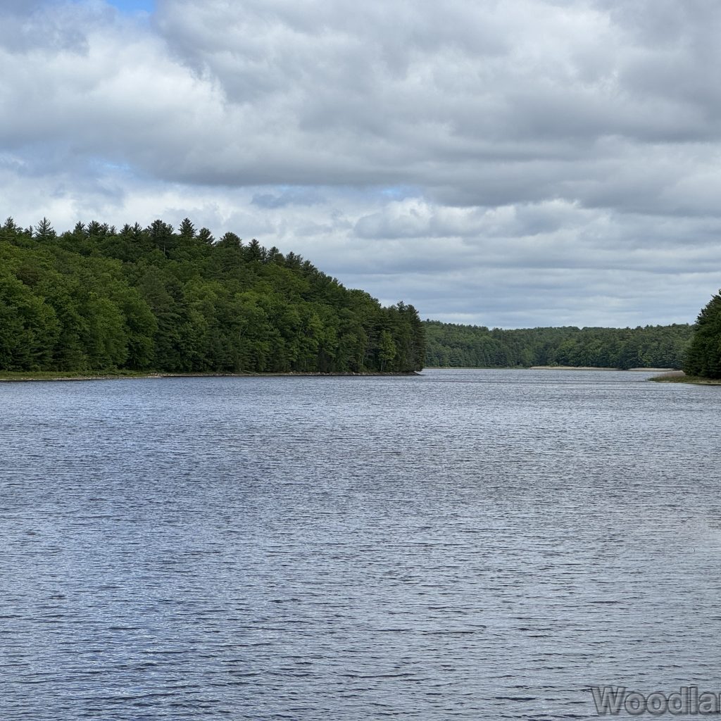 Quabbin Reservoir with dense green forests across the water and gentle ripples
