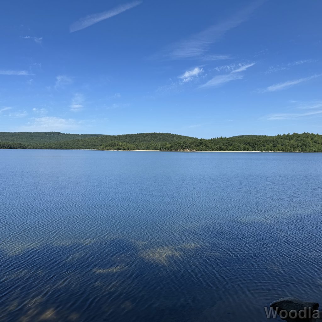 Quabbin Reservoir with extremely blue water and delicate ripples creating textured surface