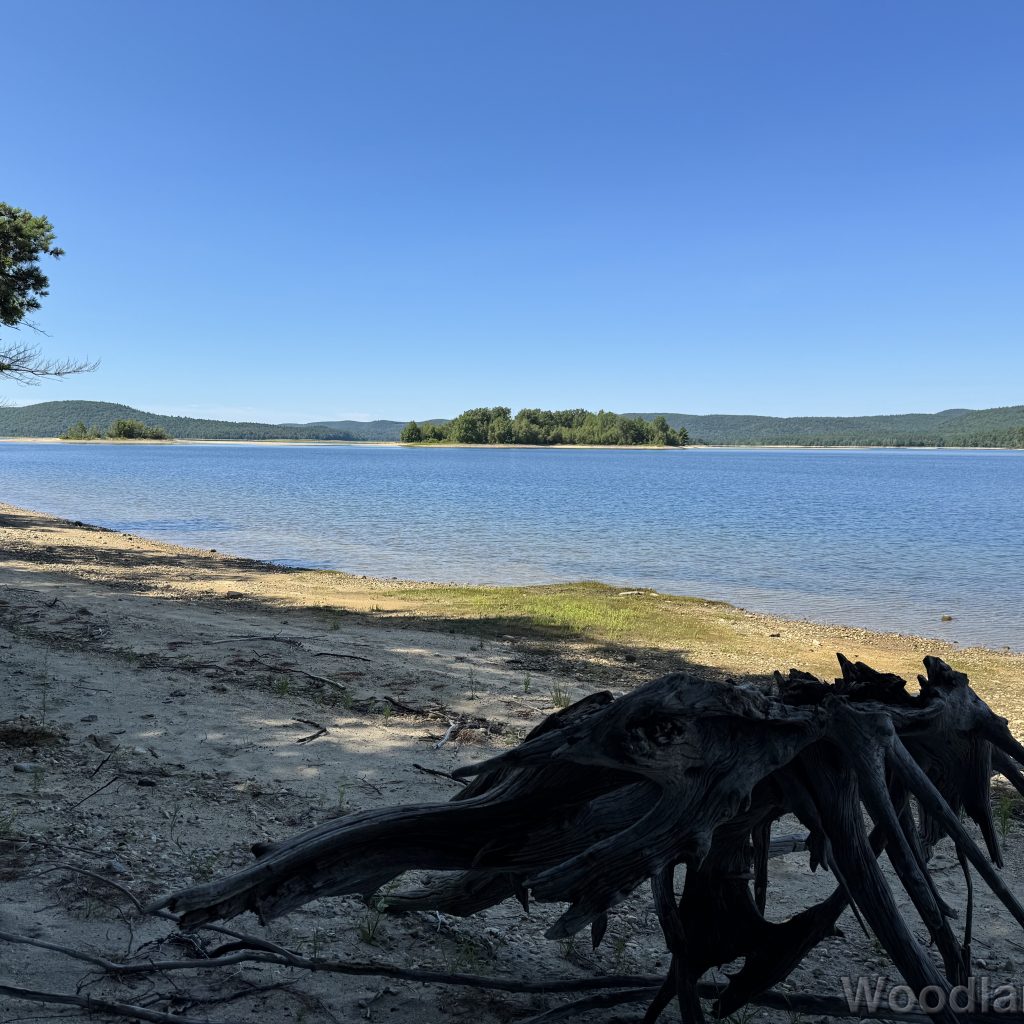 Sandy shore at Quabbin Reservoir with driftwood and deep blue water under clear sky
