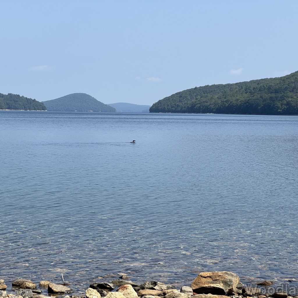 Crystal clear reservoir water with a loon floating and hazy sky