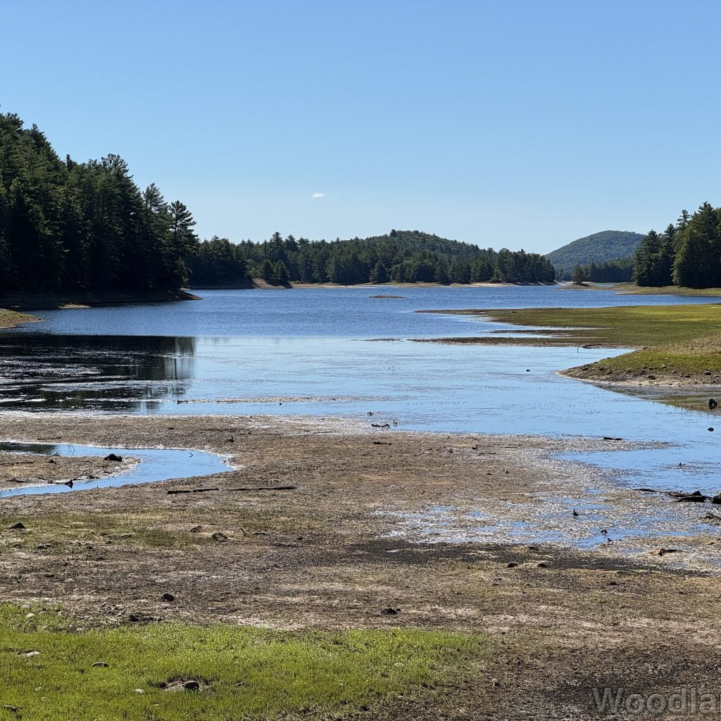 Reservoir with low water, grassy shoreline, and distant hill