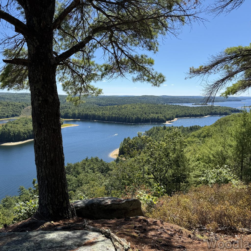 Shimmering reservoir viewed from Rattlesnake Hill, surrounded by dense forest