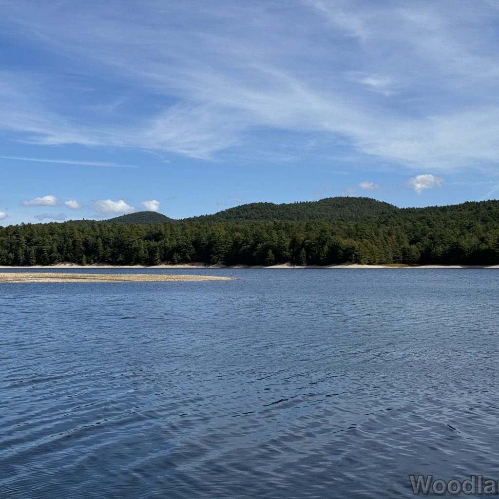 Water with subtle waves, dark green forest, hills in the distance, and wispy clouds