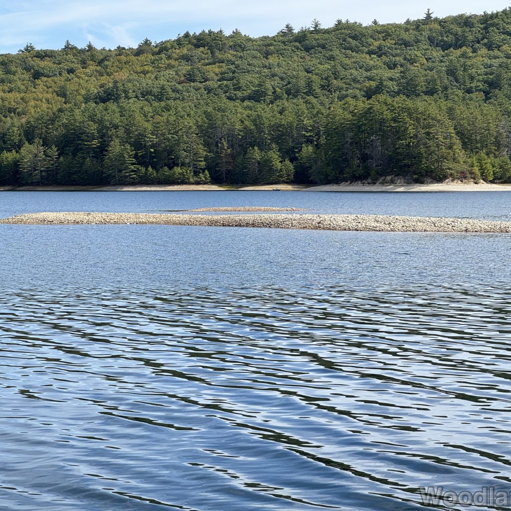 Calm water with soft reflective waves, sandbar, and forested shoreline