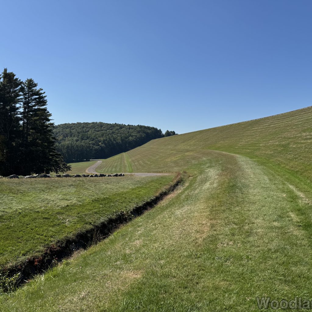 Mid-height view of Windsor Dam face with green grass and blue sky