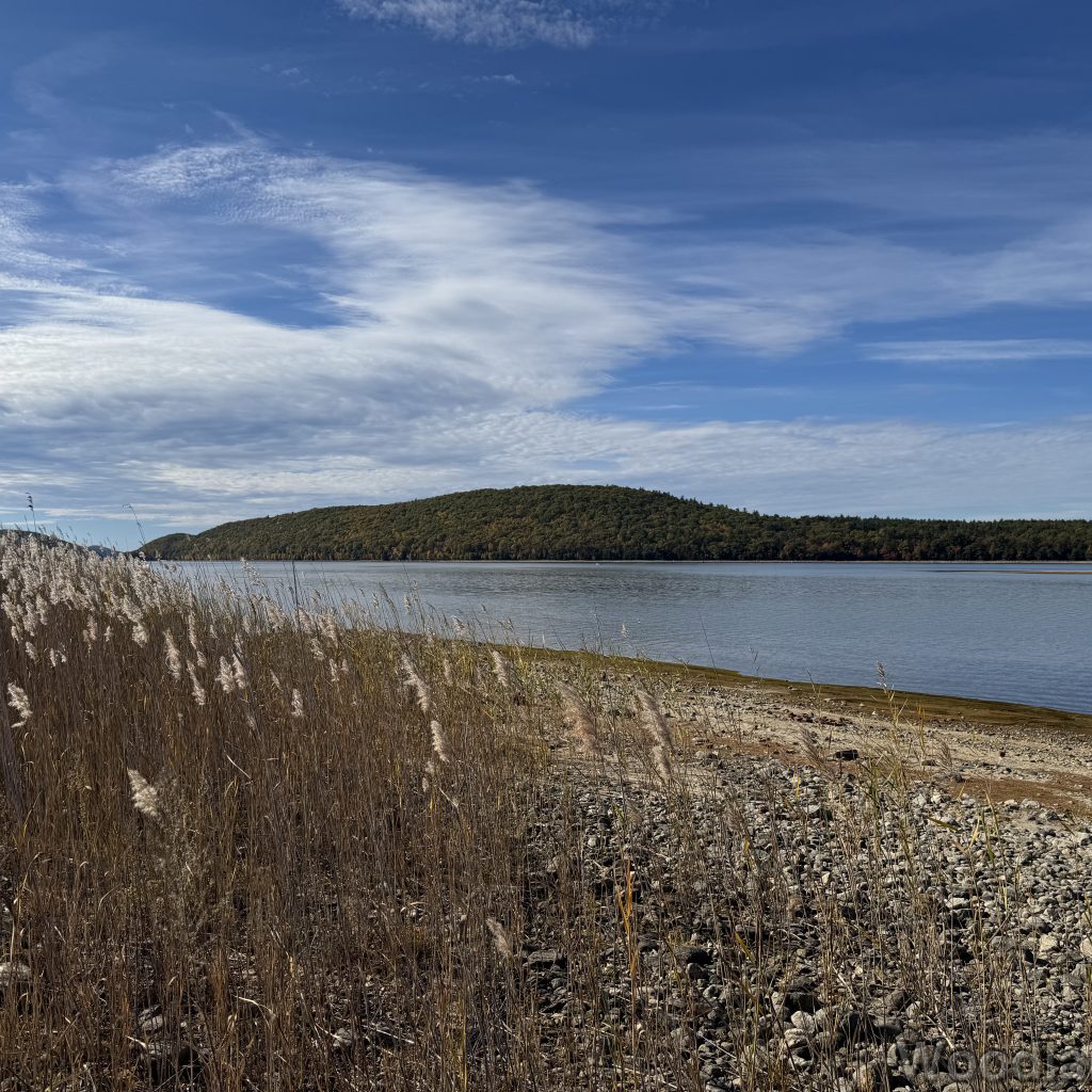 Quabbin Reservoir view of Mount L with tall grass and rocky shoreline under wispy clouds