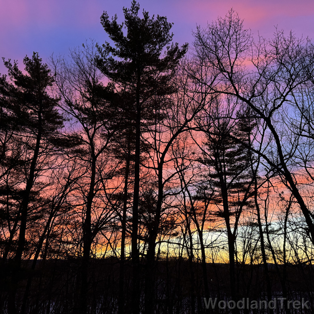 2026-03-08_185806_00