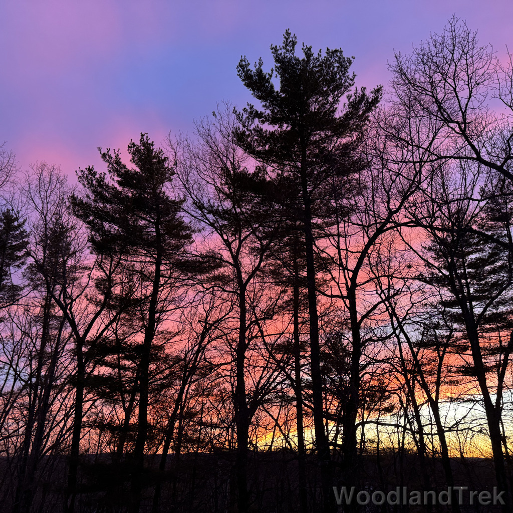 2026-03-08_185829_00