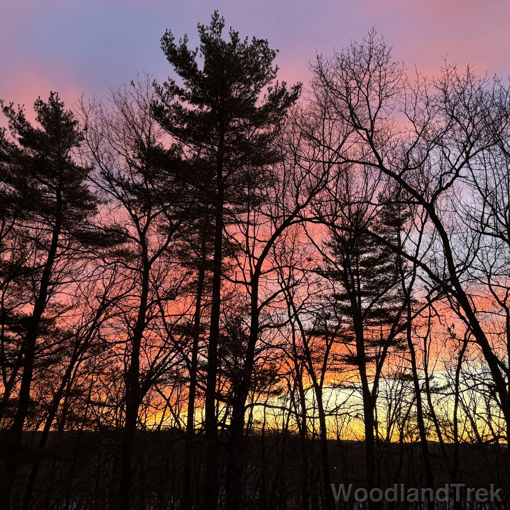 2026-03-08_185831_00