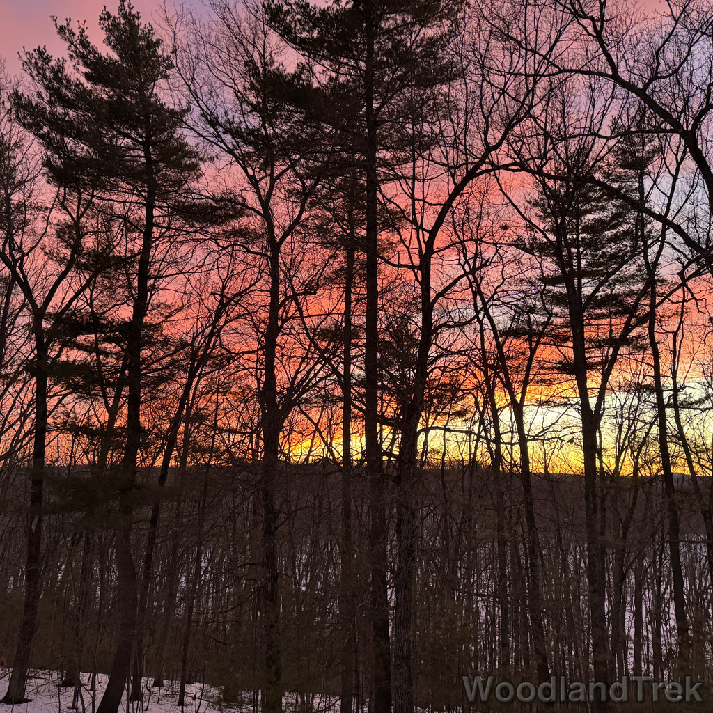 2026-03-08_185834_00