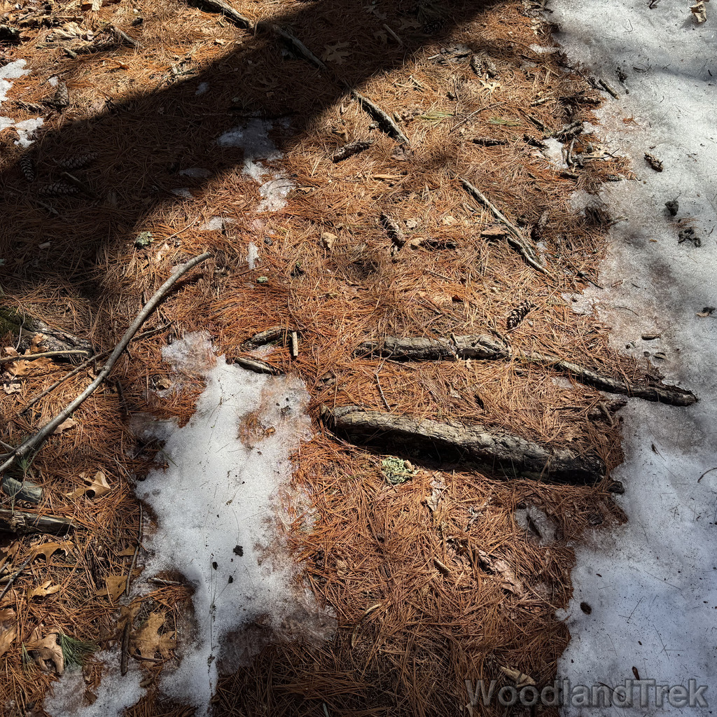 2026-03-10_125316_00