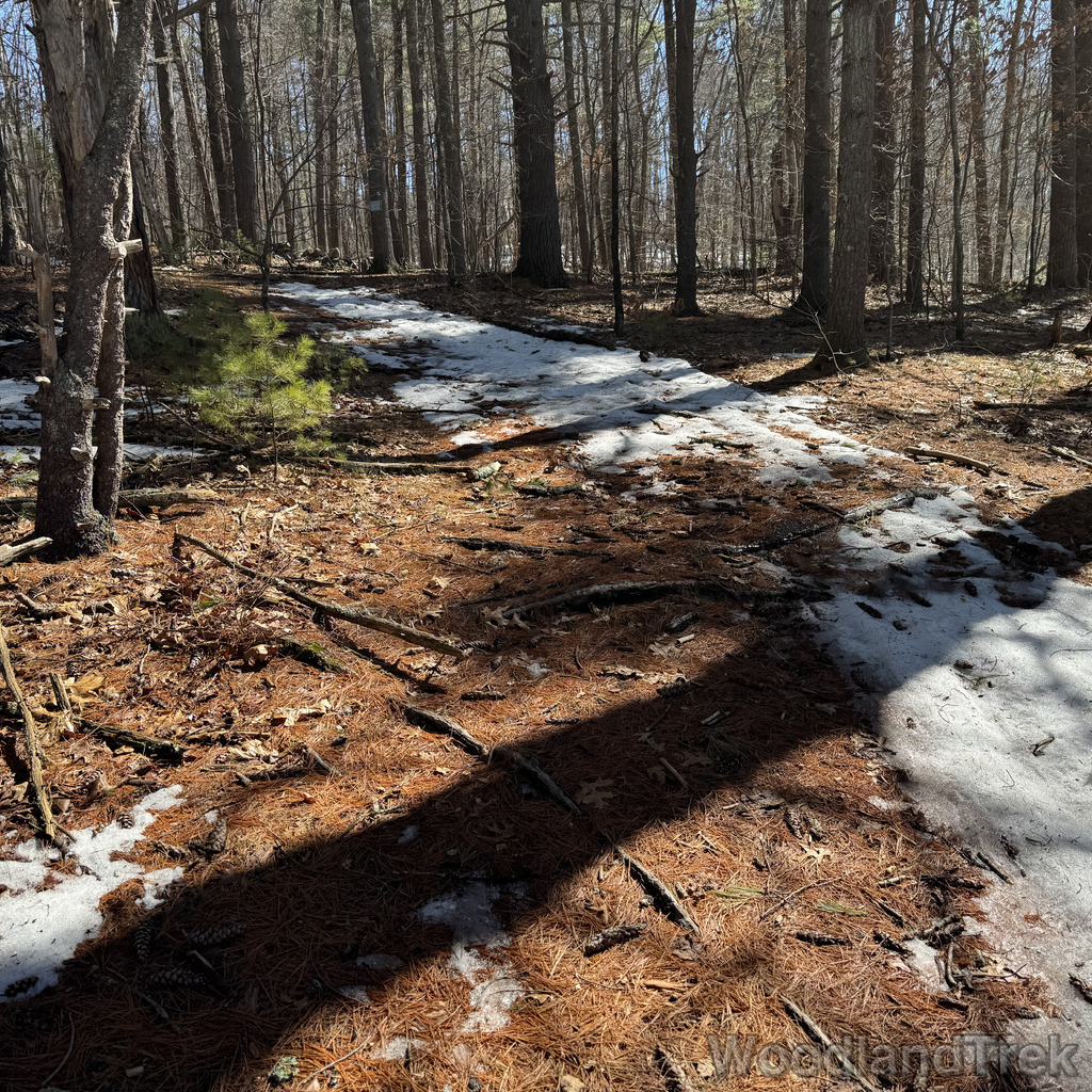 2026-03-10_125317_00