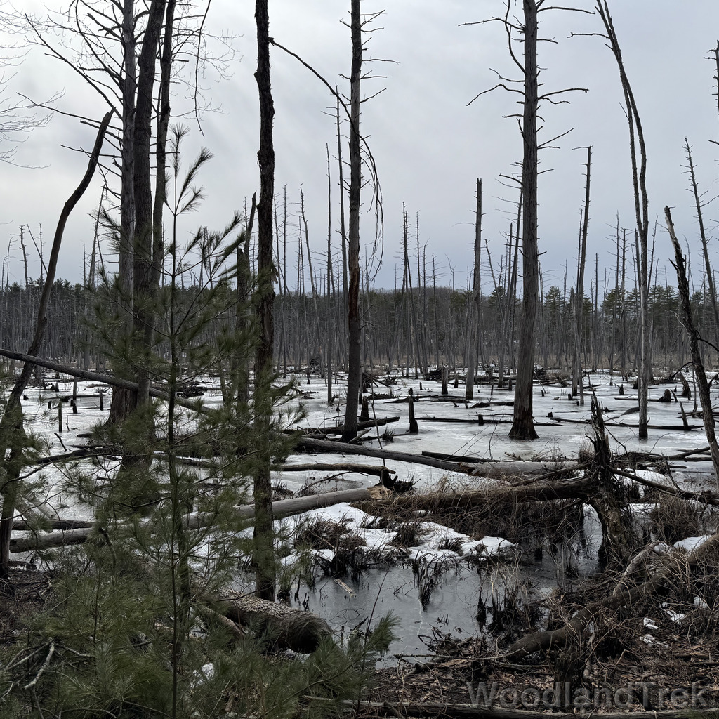 2026-03-13_151644_00