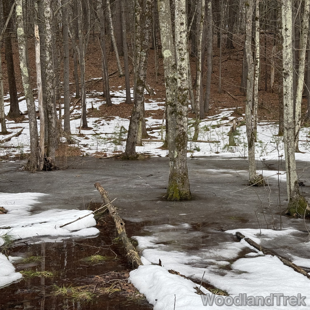 2026-03-13_152216_00