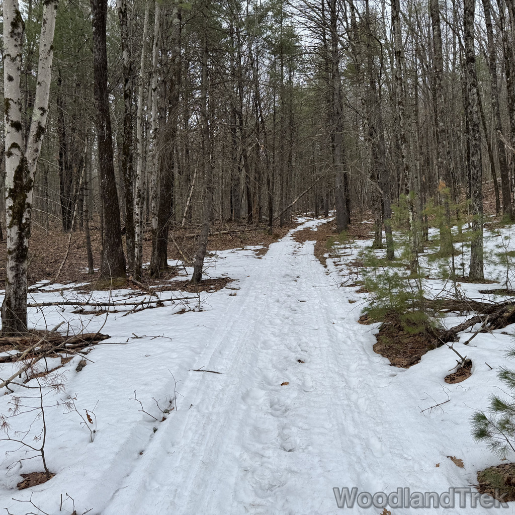 2026-03-13_152316_00