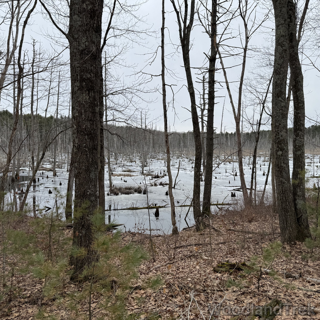 2026-03-13_153803_00