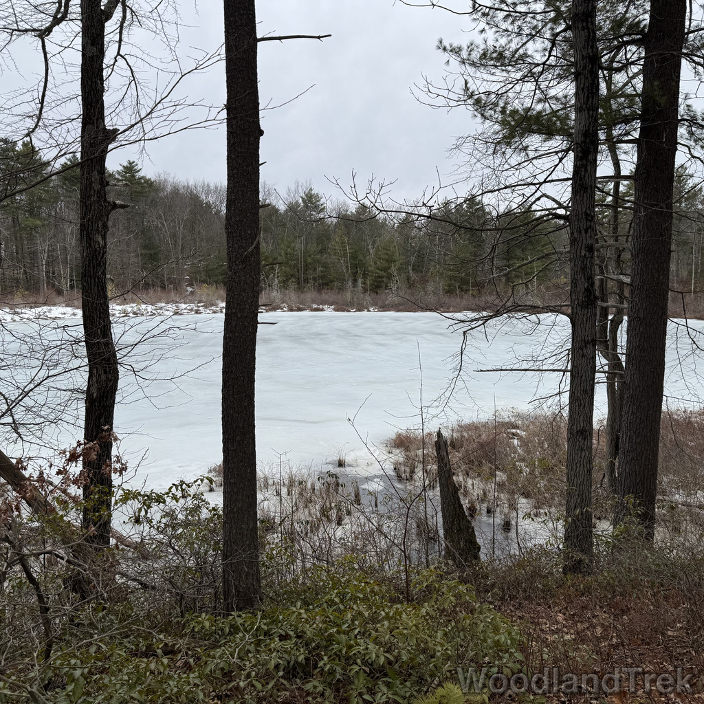 2026-03-13_154306_00