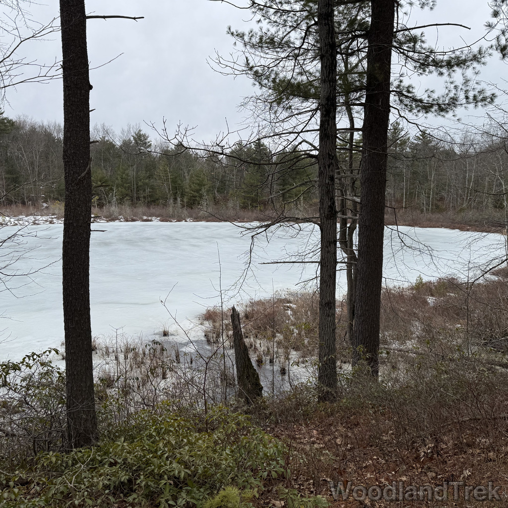 2026-03-13_154308_00