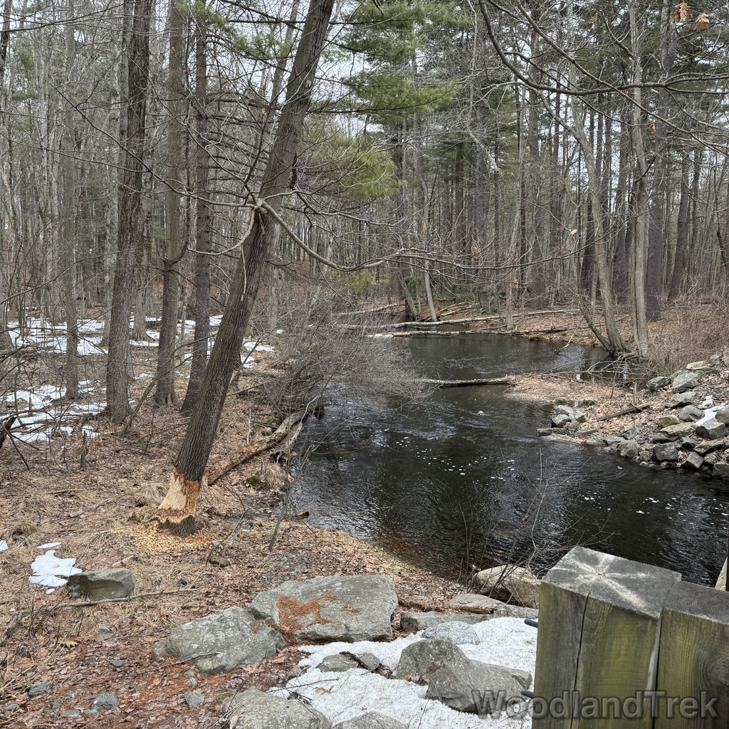 2026-03-13_155518_00