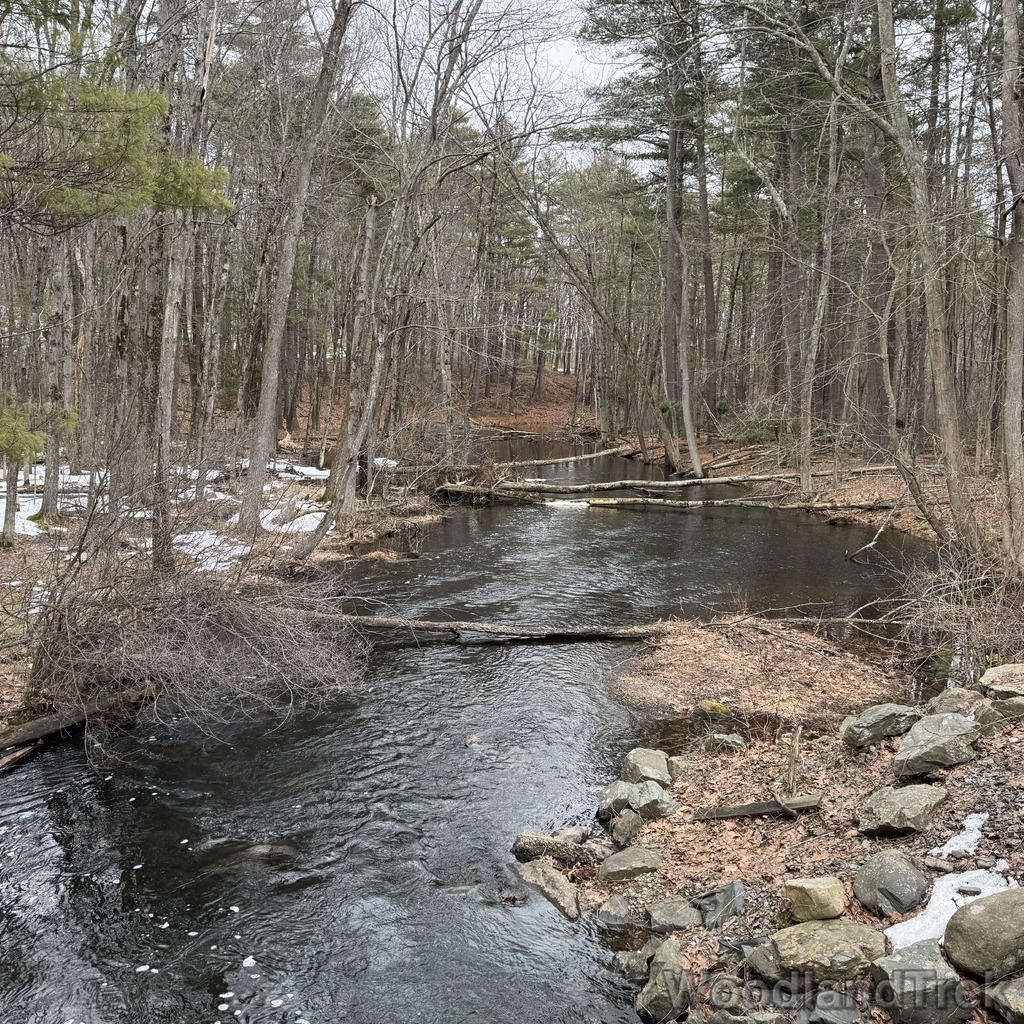 2026-03-13_155537_00