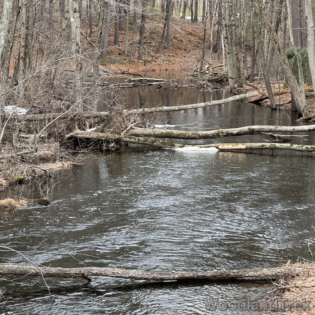 2026-03-13_155539_00