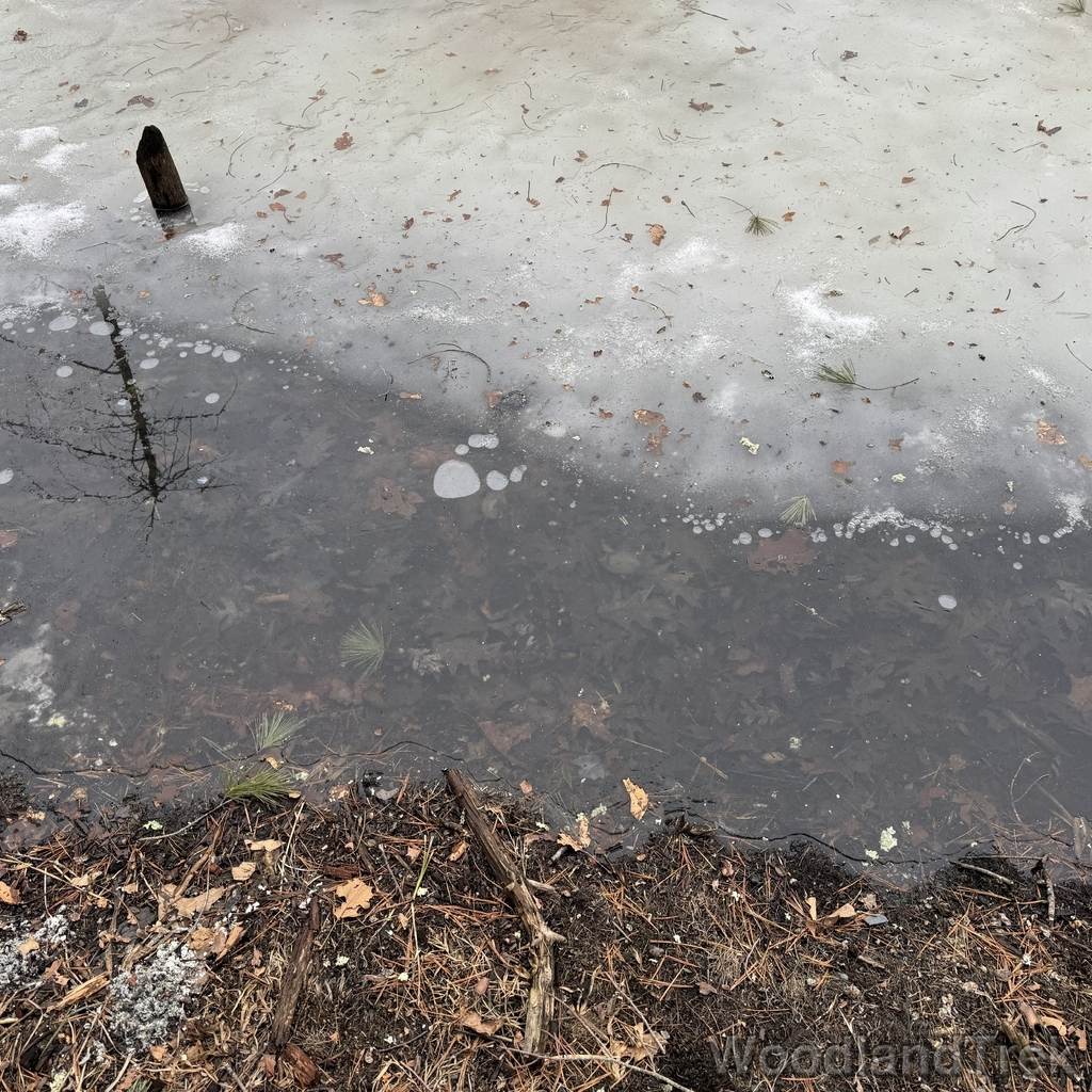 2026-03-13_161453_00-ROT