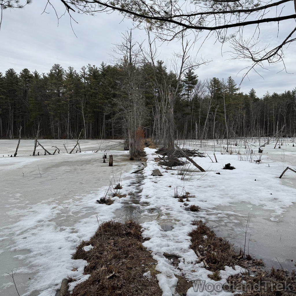 2026-03-15_133815_00