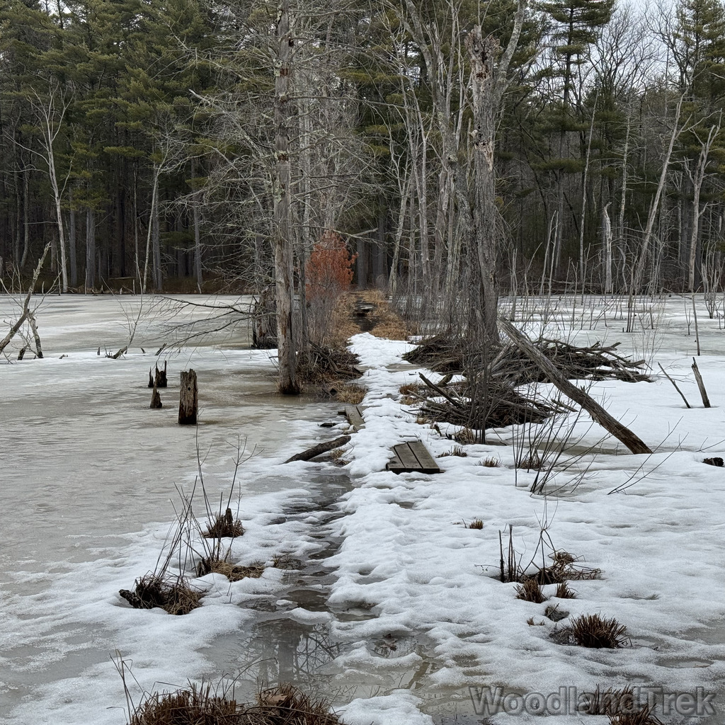 2026-03-15_133817_00