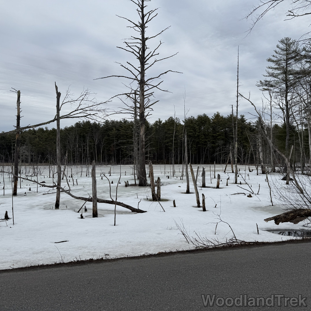 2026-03-15_133958_00