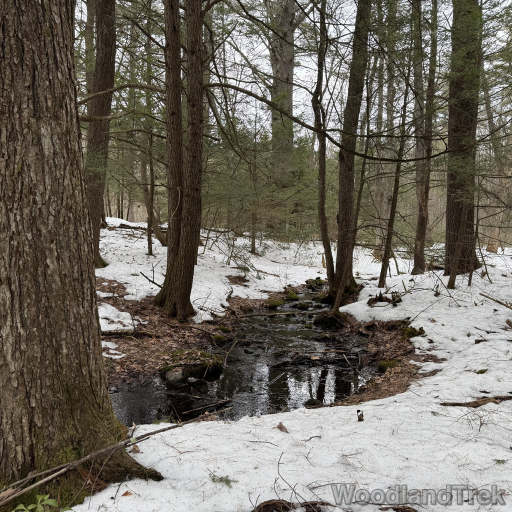 2026-03-15_141430_00