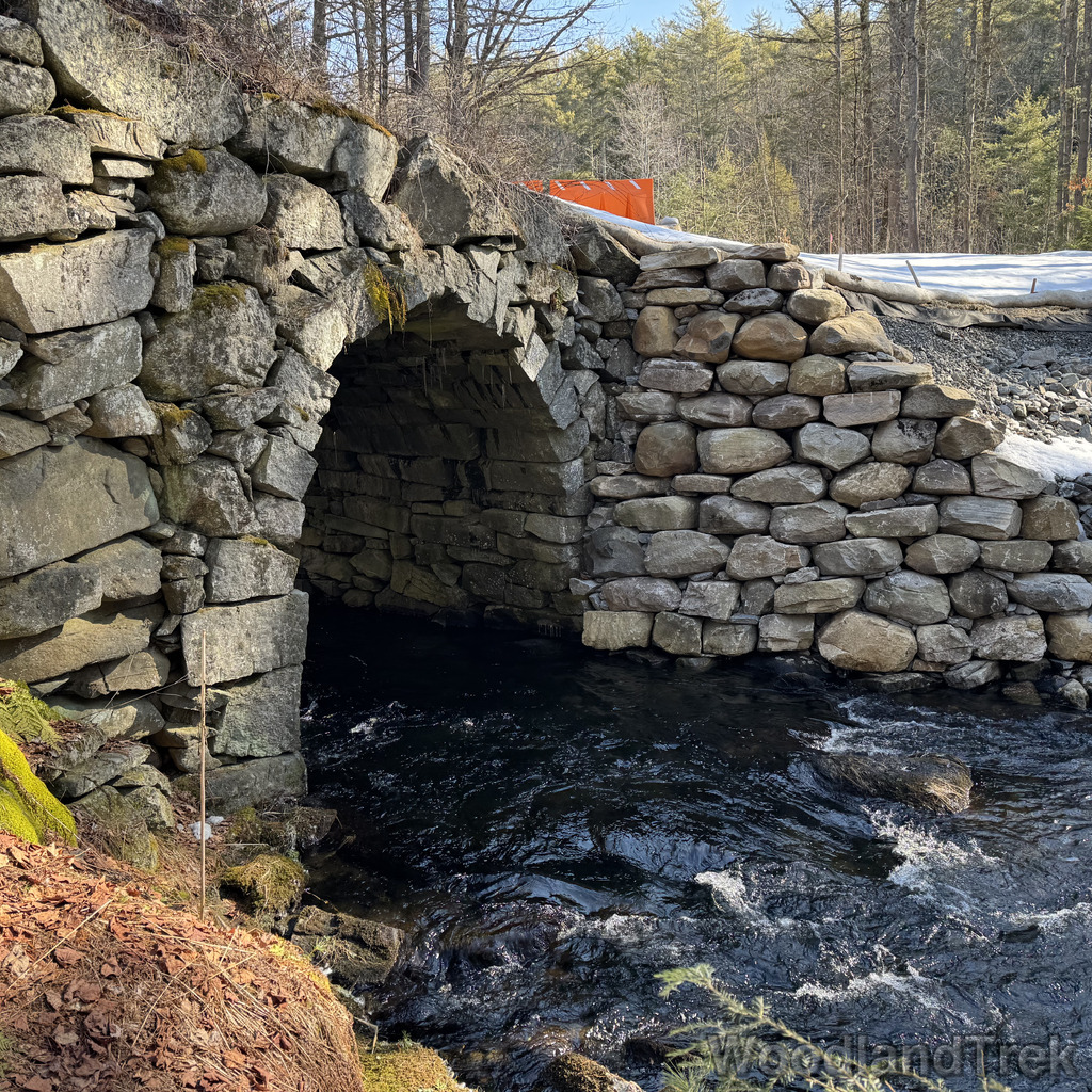 2026-03-20_100359_00