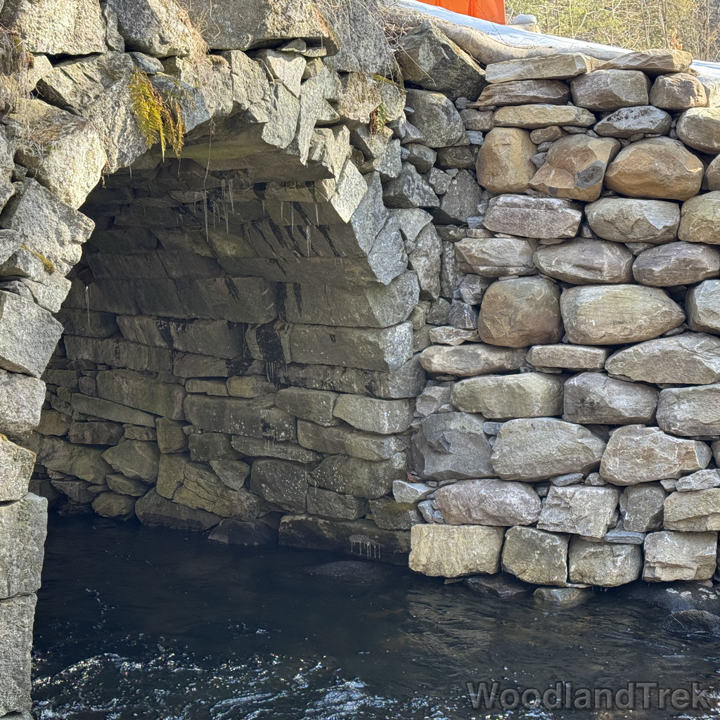 2026-03-20_100407_00