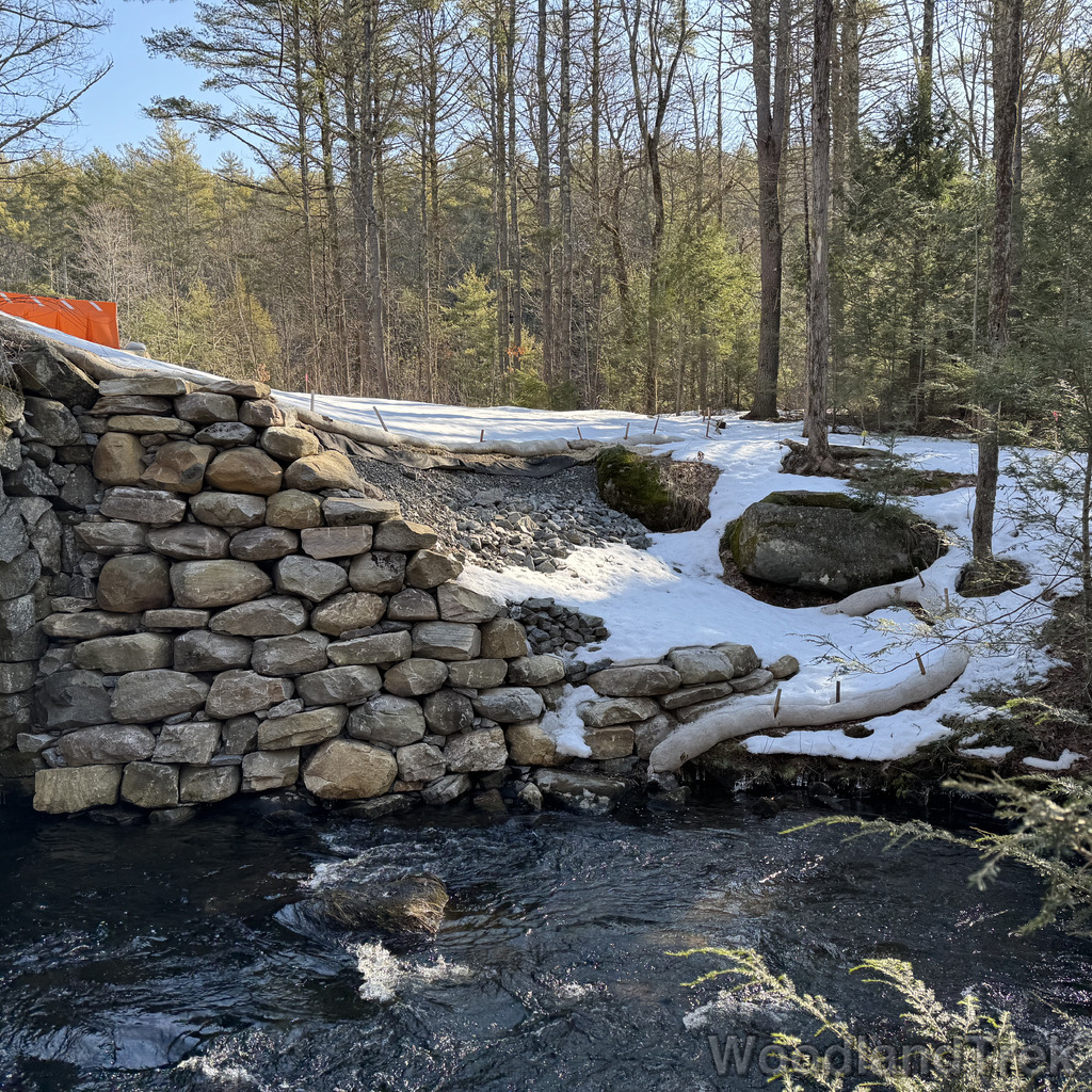 2026-03-20_100416_00