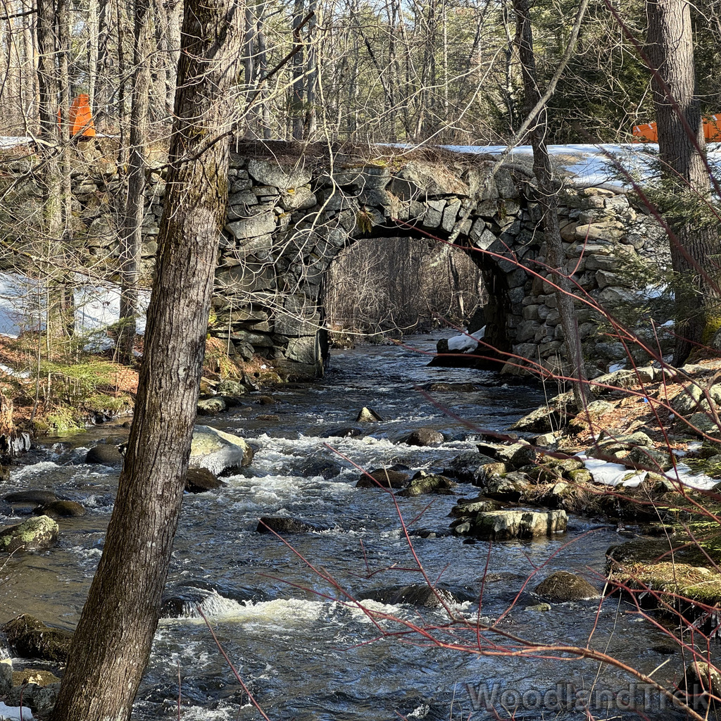 2026-03-20_100638_00