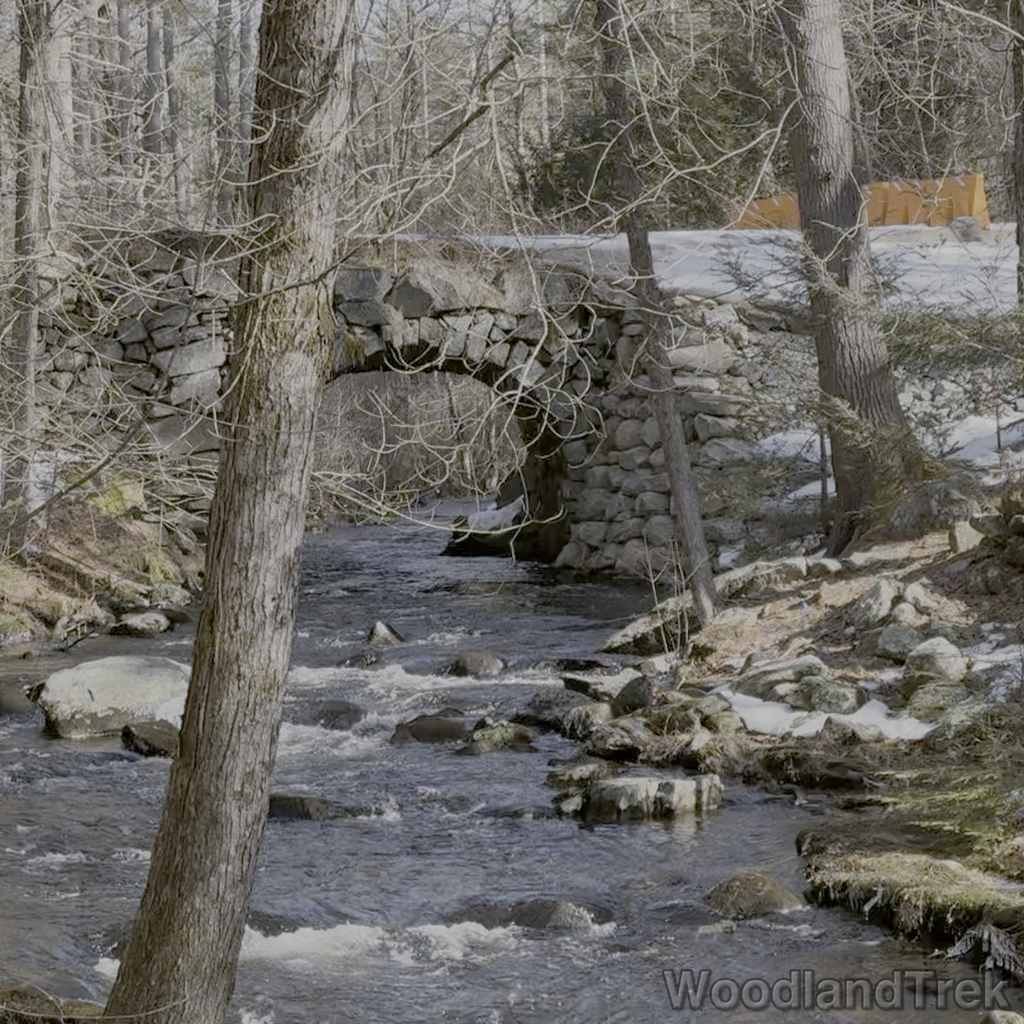 2026-03-20_100704_00