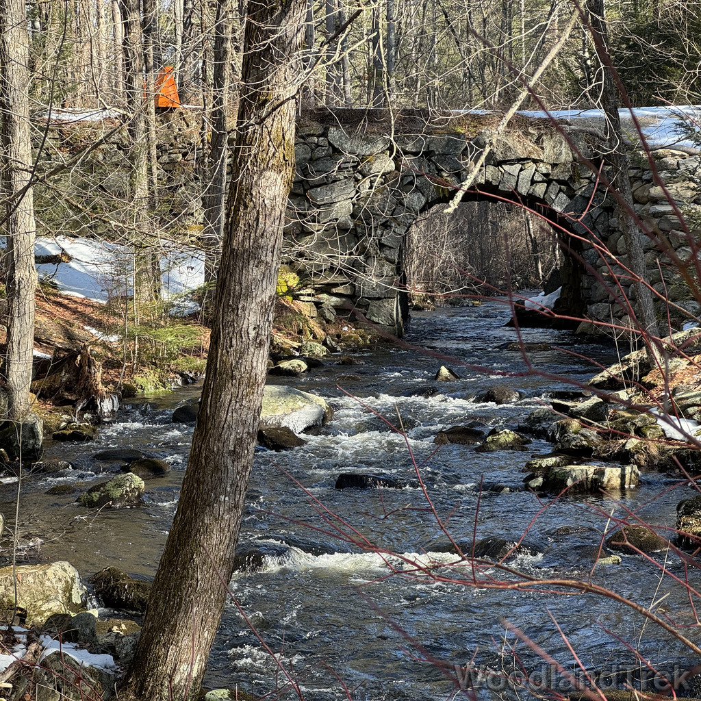 2026-03-20_100803_00