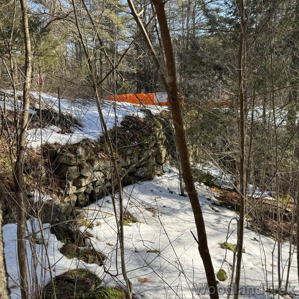 2026-03-20_100946_00