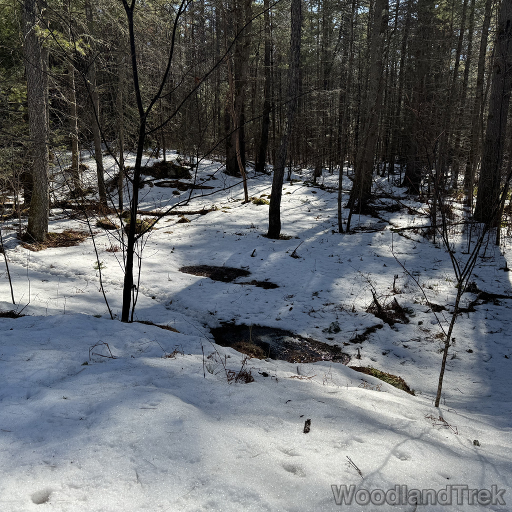 2026-03-20_102301_00