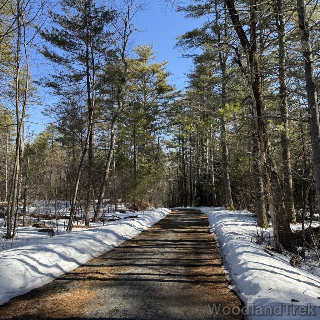 2026-03-20_102311_00