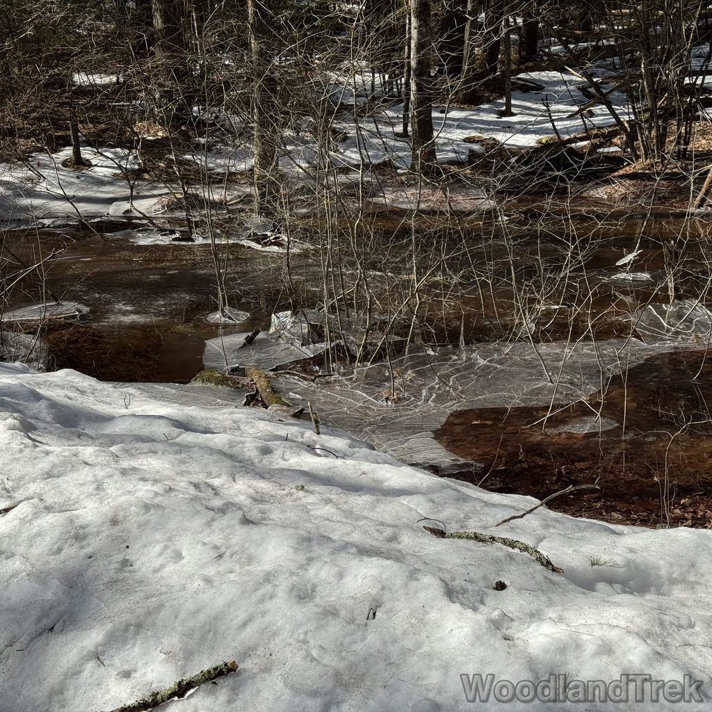 2026-03-20_104153_00