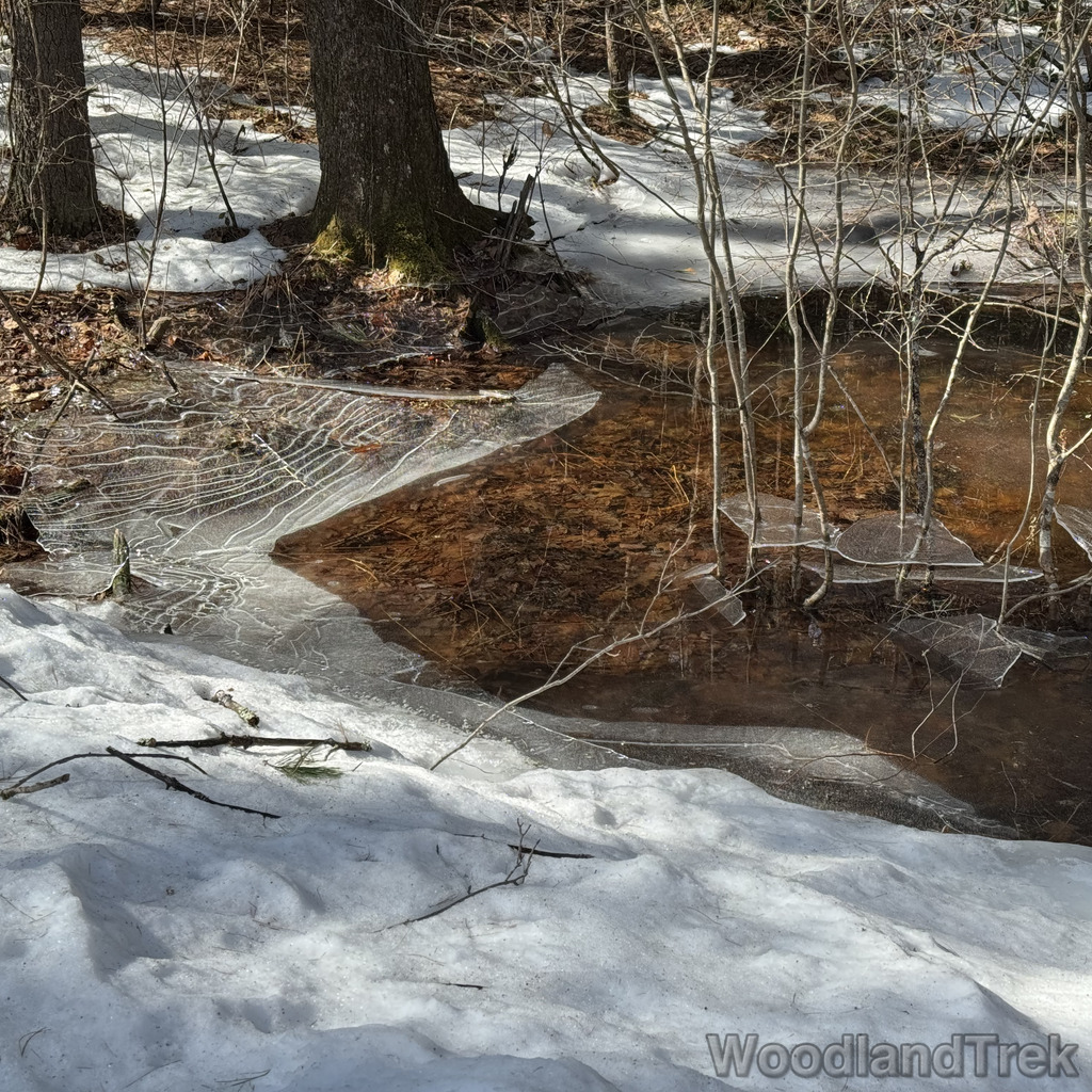 2026-03-20_104210_00