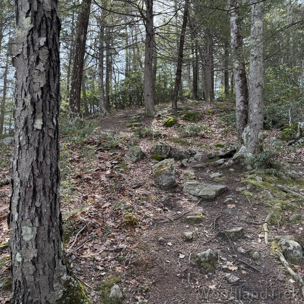 2026-03-20_110422_00