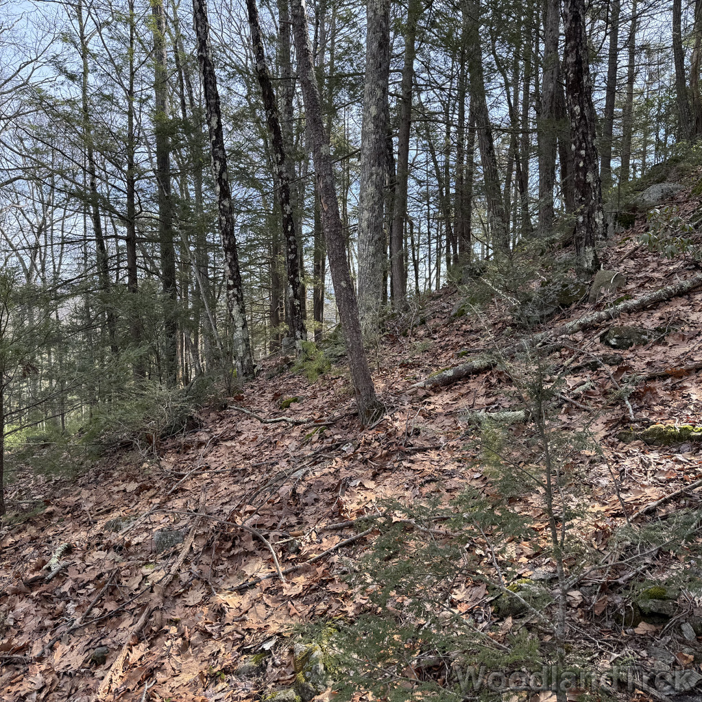 2026-03-20_110441_00