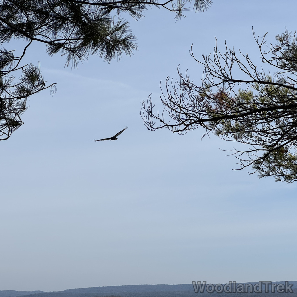 2026-03-20_110945_00