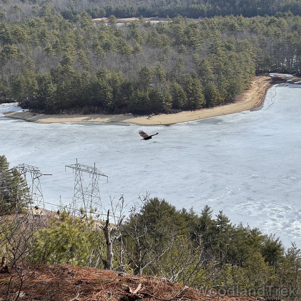 2026-03-20_110957_00