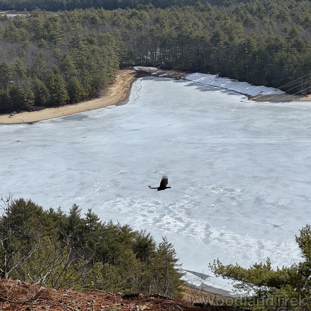 2026-03-20_111001_00