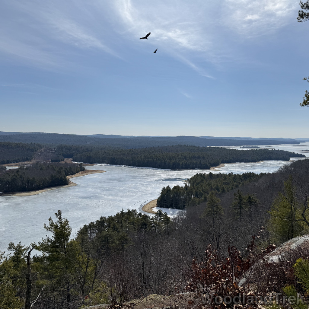 2026-03-20_111106_00