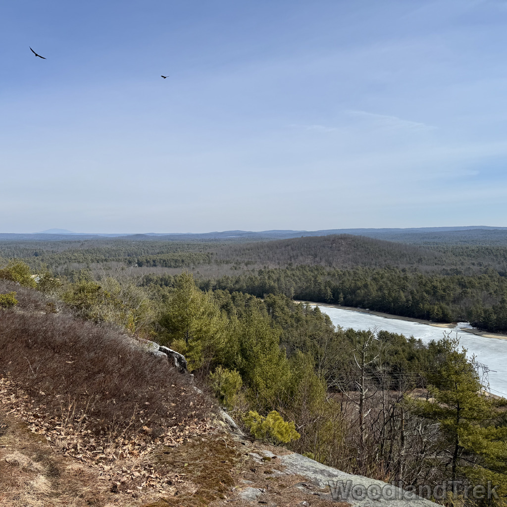 2026-03-20_111120_00